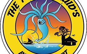 Funky Squids Beach Resort